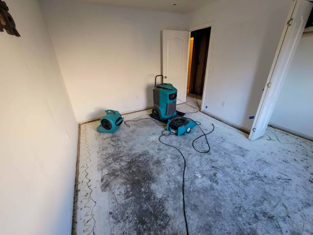 Water damage restoration process in Ruskin, FL