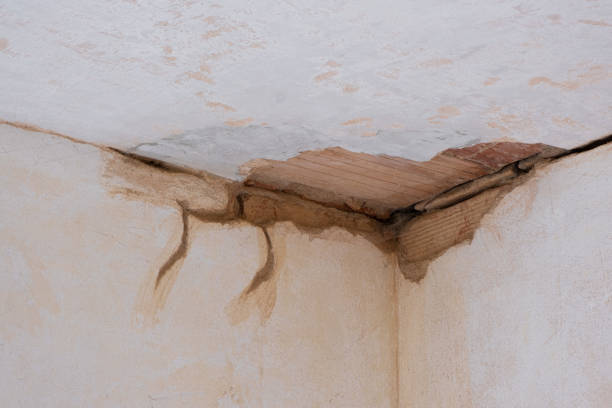 Fire Damage Restoration in Ruskin, FL