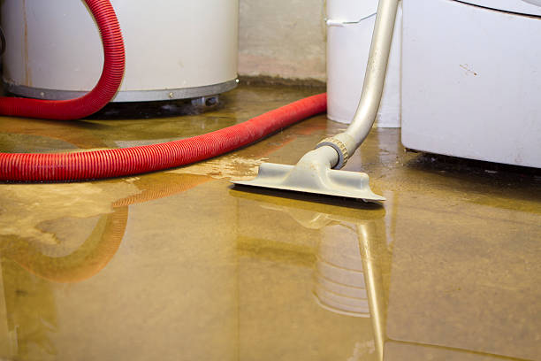 Best Local water damage restoration  in Ruskin, FL