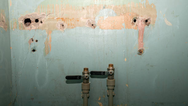 Reliable Ruskin, FL Water damage restoration Solutions